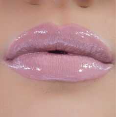 Dajarra Bulletgloss